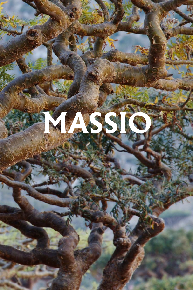 Massio Concept - Szoba- és ágynemű parfüm Boswellia Sacra (100 ml)