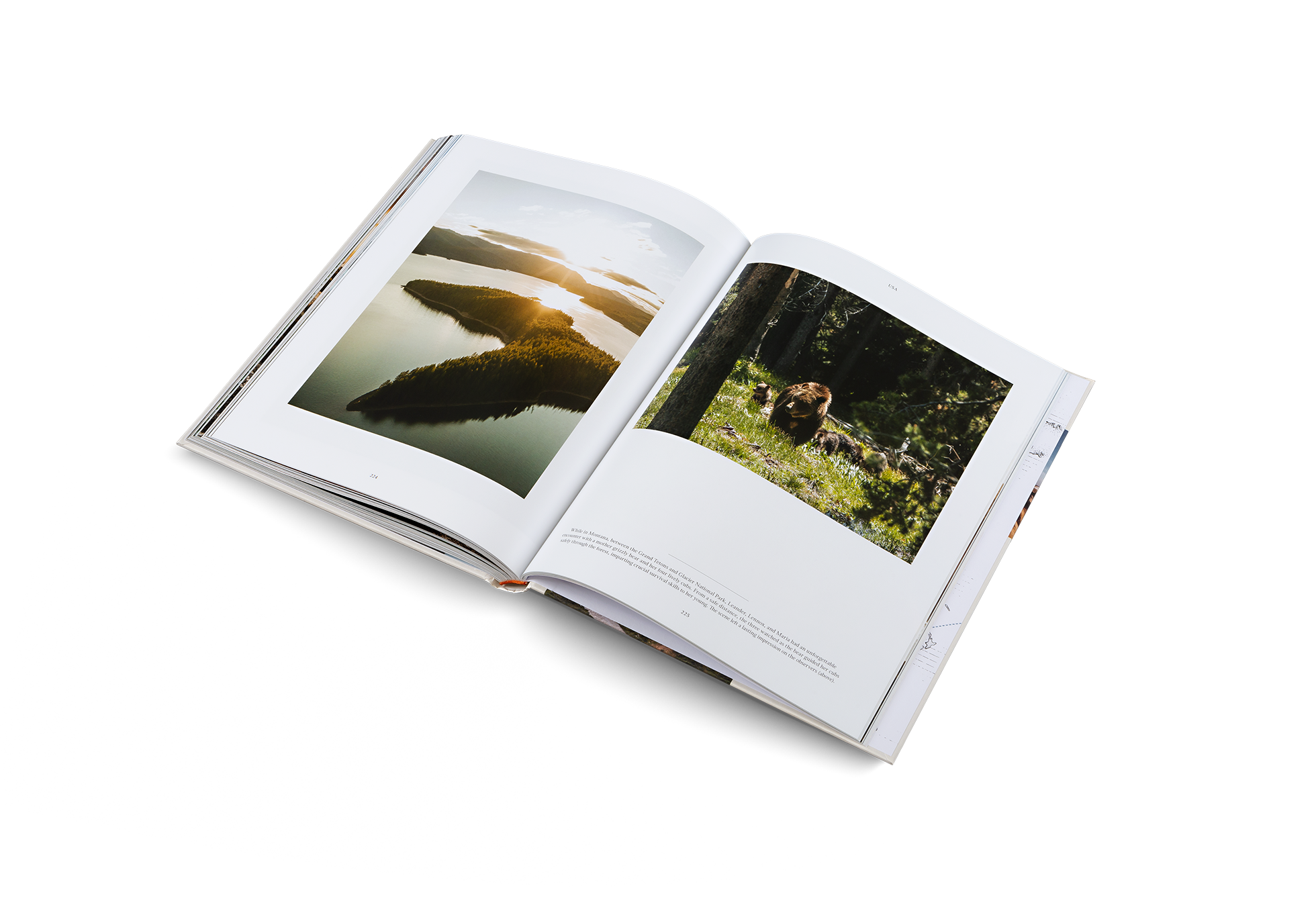 gestalten - Life on the Road: Around the World on Four Wheels