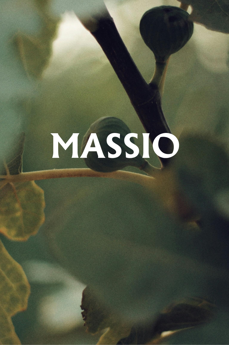 Massio Concept - Ficus Incir Reed Diffuser (200ML)