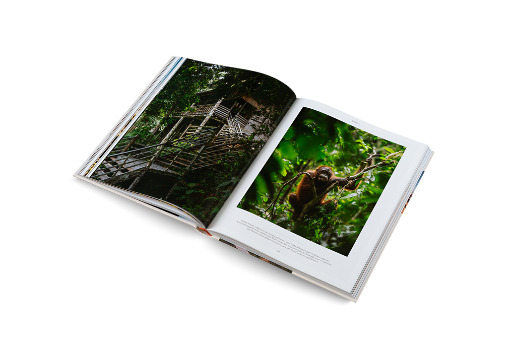 gestalten - Life on the Road: Around the World on Four Wheels