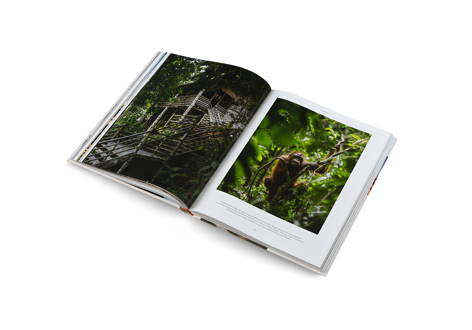 gestalten - Life on the Road: Around the World on Four Wheels